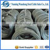 Zinc Coated Galvanized Steel Wire