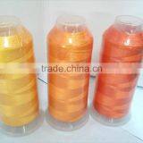 China Manufacturer Rayon Embroidery Thread