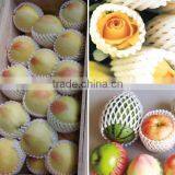 Epe Foam Fruit Net Extrusion Machine thumbnail-2