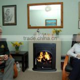 Factory Direct Selling Insert 5kw cast iron wood burning stove for sale