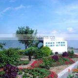 Sichuan Hongyu Baiyun New Materials Co., Ltd. company overview - view 3 thumbnail