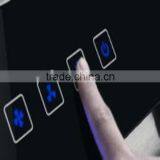 Good Pricing and Quality Capacitive Touch Button