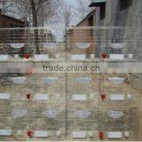 Galvanized Cage Wire Mesh/Pigeon Cage /bird Cage thumbnail-2
