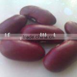 Dark Red Kidney Bean( 2013 Crop, Heilongjiang Origin, Hps) thumbnail-1