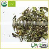 Lightly Oxidized White Hair Silver Needle White Tea Best White Tea Brands thumbnail-3
