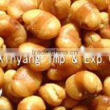 Delicious and Nice Looking Salted Broad Beans With Belt thumbnail-4