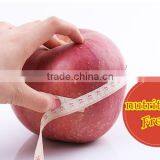 New 2016 Professional Delicious High Quality Fresh Red Hanfu Apple thumbnail-5