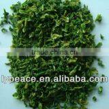 Dehydrated Broccoli Granules thumbnail-1