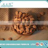 Sweet Raw Apricot Kernel Samples for Big Customers Testing thumbnail-1