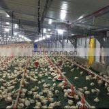 Long Life Span Philippines Poultry Broiler Feeding Line