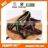Chain Dog Harness thumbnail-4