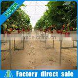 High-yield Greenhouse Hidroponica for Strawberry thumbnail-4