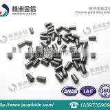 Hot Sale Winter Tire Studs Carbide Pins thumbnail-5