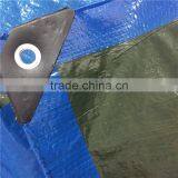High Quality pe Bache Tarpaulin thumbnail-4
