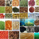 Induatrial Garlic Dehydrator Drying Machine thumbnail-5