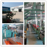 Hebei SLN Sling Group Co., Ltd company overview - view 1 thumbnail