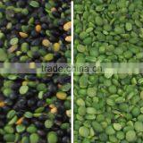 Bean Color Sorting Machine thumbnail-5