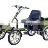 Electric Bike thumbnail-1