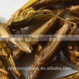 Pet Food Freeze Dried Grasshoppers/Dried Locusts thumbnail-1