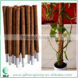 Coir Stake for climbing plant support