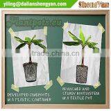 Polyester Felt Grow Pot, Grow Bag, Planter thumbnail-2