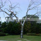 Outdoor Garden Decoration Stainless Steel Metal Tree Sculpture for City thumbnail-2