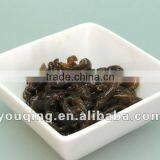 Seasoned Sushi Durvillea Antarctica thumbnail-1