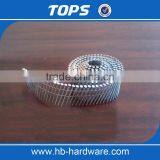 Hot Dipped Electro Galvanized Coil Nail thumbnail-1