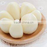 Best Price of Chinese Fresh Garlic thumbnail-4