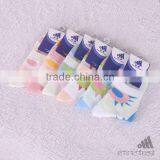 Ladies Knitted Absorbent Ankle Socks thumbnail-1