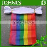 Free Design Polyester Gay Pride Custom Size Colorful Rainbow Bunting Flags thumbnail-1