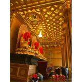 Putian Nangu Ceiling Co., Ltd. company overview - view 1 thumbnail