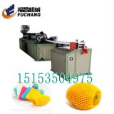 epe fruit net foaming machinery