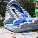 Inflatable Blue Marble Water Slide Double Curved Backyard Slip and Slide For Children thumbnail-1
