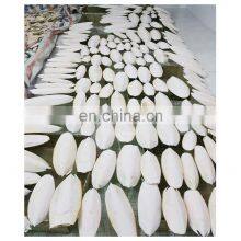 High Quality Animal Feed Body Part Vitamins NATURE Bag Packaging Natural White Dried Cuttlefish Bone thumbnail-5