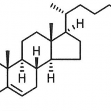 Medical Grade Cholesterol(Plant Origin)