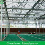 Garden Used Greenhouses for Sale