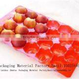 Fruit Plastic Packaging Vegetable Blister Packing Tray thumbnail-5