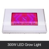 300W Veg/Flower/Full Spectrum LED Grow Light Hydroponic System Vertical Equipment Grow