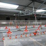 automatic broiler feeding system in China