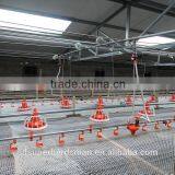 Automatic Broiler Feeding System in China