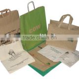 2011 enviromental friendly paper shopping bag