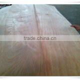 African Mabogany Face Veneer thumbnail-2