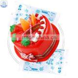 Cake Ice Pack
