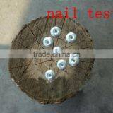 Umbrella Head Galvanized Roofing Screw Nail thumbnail-5