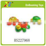 Wind up Turtle Gift & Wind up Toy