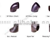 SGP Butt Weld Fitting Malaysia thumbnail-1