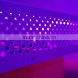 CXA 3070 COB LED Grow Light 200w thumbnail-3