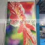 Comfort Electric Far Infrared Carbon Heater Panel Manufacturer thumbnail-1