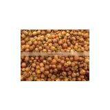 Natural Coriander Seeds thumbnail-1